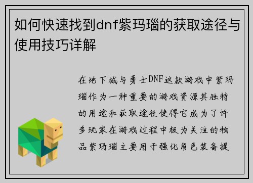 如何快速找到dnf紫玛瑙的获取途径与使用技巧详解